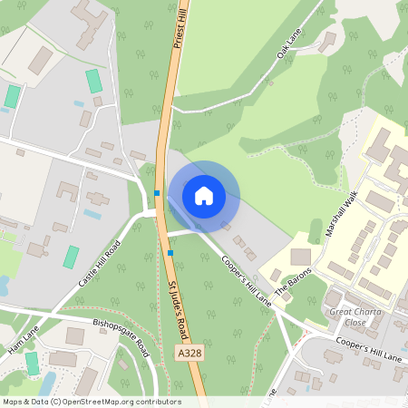 Coopers Hill Lane, Englefield Green, Egham, Surrey, TW20 0JY