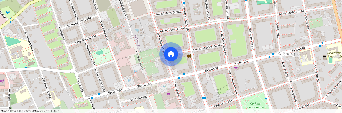 Theodor-Lessing Str. 21, 09112 Chemnitz