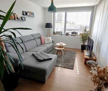 3½ Zimmer-Wohnung in St. Erhard (LU), möbliert, auf Zeit - Foto 3