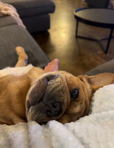 Victoria Park - Photo 2