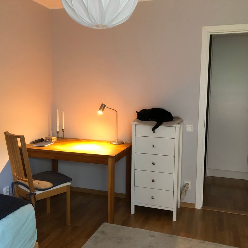 Smögengatan, Göteborg - Foto 2