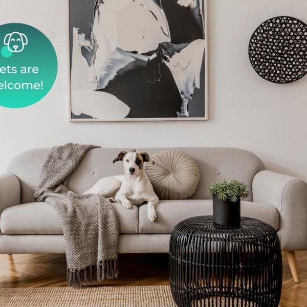 Clay, Dakota & Montana, Wembley, HA9 - Photo 1