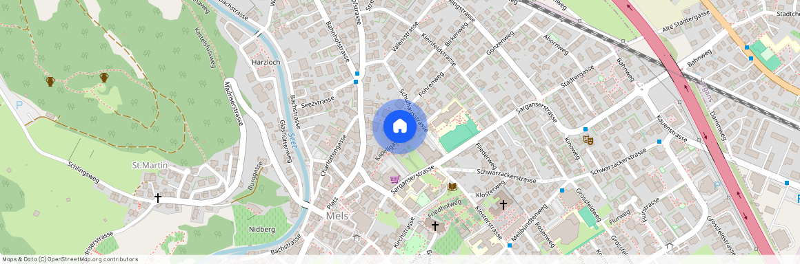 8887, Mels, Schulhausstrasse, 9