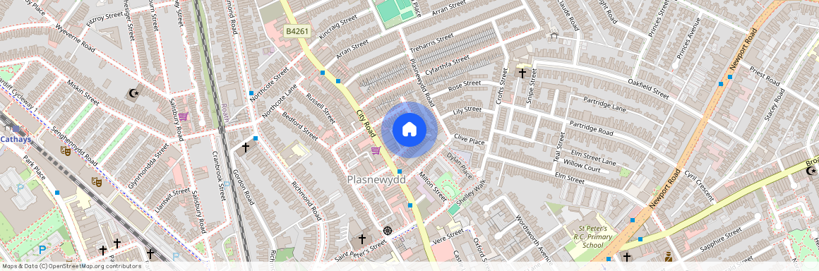 Talworth Street, CF24 3EH, Roath