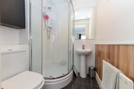 Apartment C 2.5, 181 Sandy Row, Belfast, BT12 5EU - Photo 4