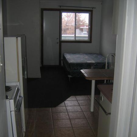 1 1/2 - Montréal (Le Plateau Mont-Royal) - 1 150 $/mois - Photo 3