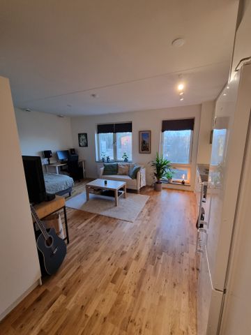 Honungsgatan, Uppsala - Foto 2