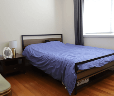 Leafy Lifestyle Living - Photo 4