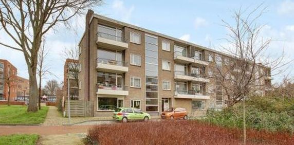 Lievenshof 1816 KJ Alkmaar - Foto 2