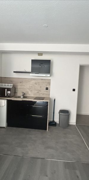 Location Appartement 1 pièce 19m² - Photo 1