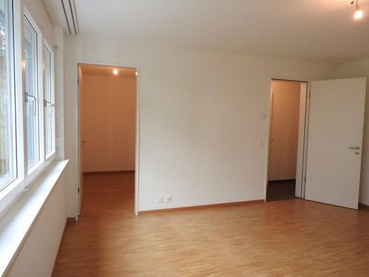 Grosszügige Maisonettewohnung an naturnaher Lage - Photo 1