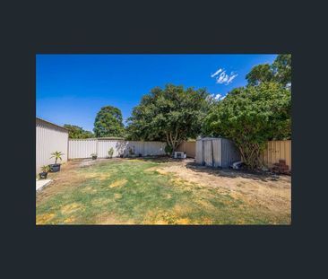 Comfortable & Convenient 3x1 Home in Lockridge - Photo 5