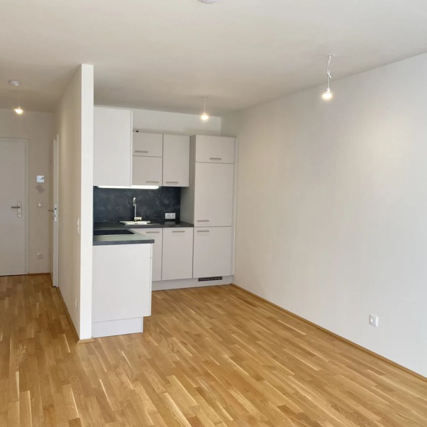 Modernes Wohnen im 7. Stock - Neuwertige 2-Zimmer Wohnung nahe Kagraner Platz - Foto 1