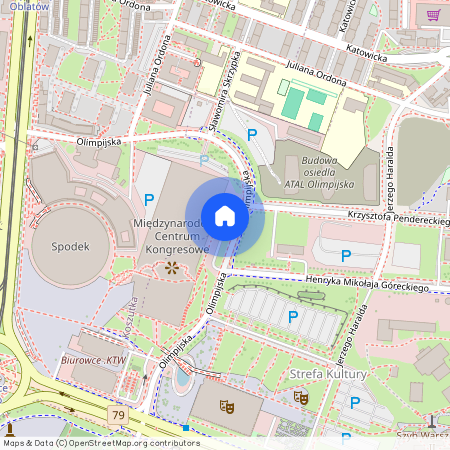 ul. Olimpijska, Bogucice, Katowice, śląskie