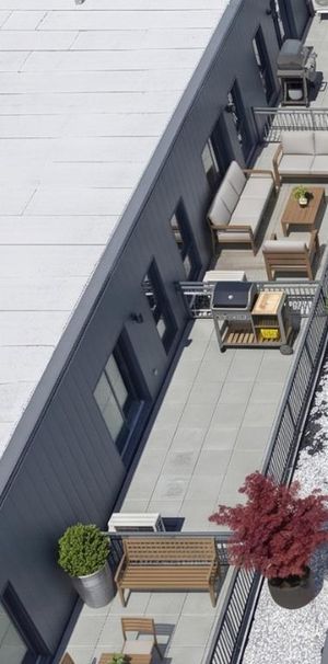 LE FLEURI -- Condos locatifs neufs à Ahuntsic Montreal - logement à louer - Photo 1