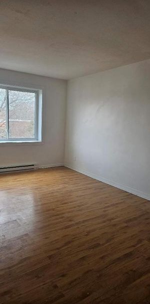 1 CH - 1 SDB - Montréal - $1,245 /mo - Photo 1