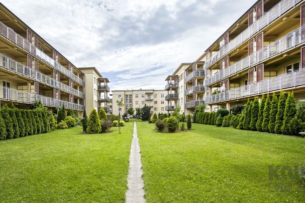 Łódź, Widzew, Janów, Cynarskiego – zdjęcie 1