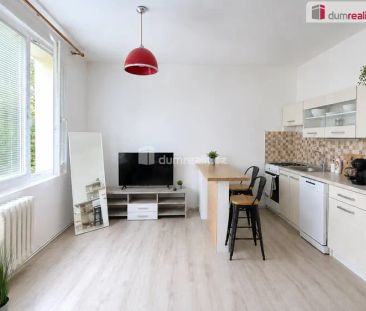 Pronájem slunného bytu 1+1, 36 m, Ústí nad Labem – Dobětice - Photo 4