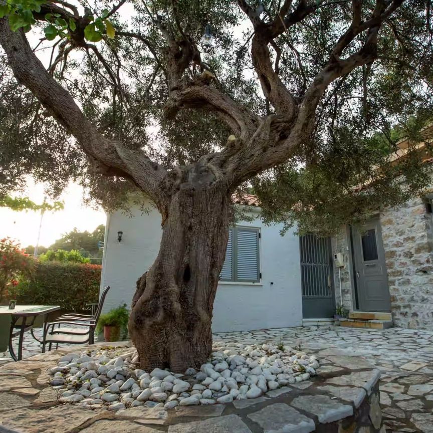 Μονοκατοικία για ενοικίαση Κέντρο (Ναύπακτος) - Photo 1