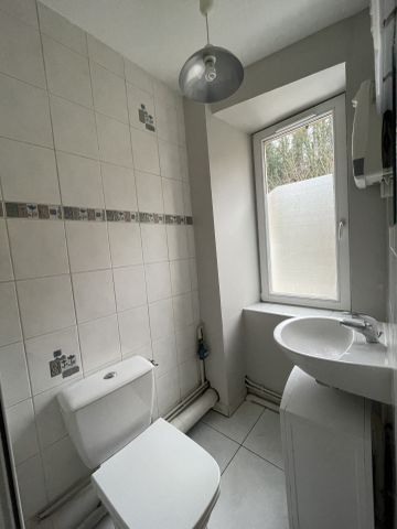 Location Appartement 1 pièce 25m² NANCY 54000 - Photo 3