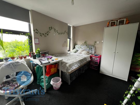 1 bed Studio for Rent - Photo 1