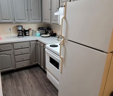 Lower 3 bedroom 2 bath unit - Photo 6