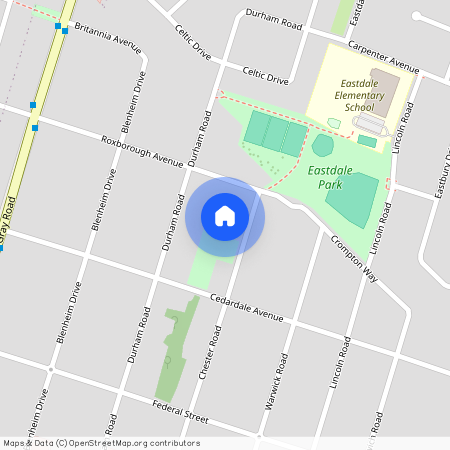 63 Chester Road, Hamilton