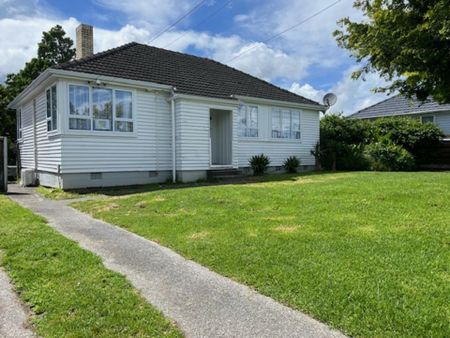 Renovated 3-Bedroom Home on Large Fully Fenced Section - Pets Considered - Photo 2