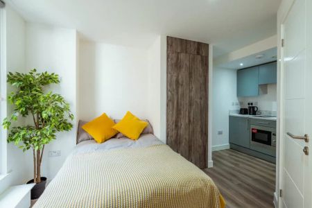 Deluxe Studio - Photo 5