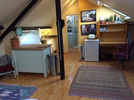 Spacious, private and sunny ensuite Attic Studio with kitchenette, near Tube - Photo 5