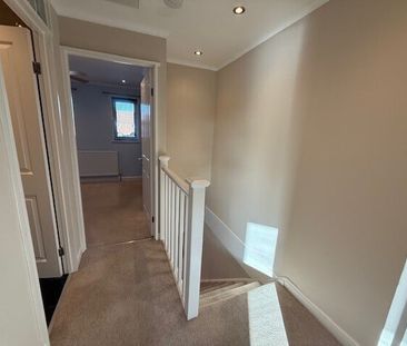 Field Close - Photo 3