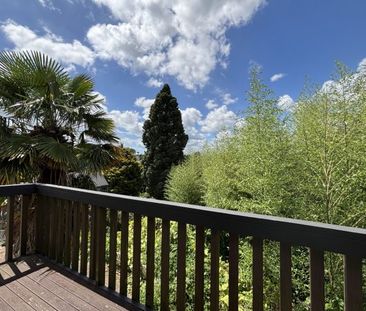 Peaceful Botanical - Photo 5