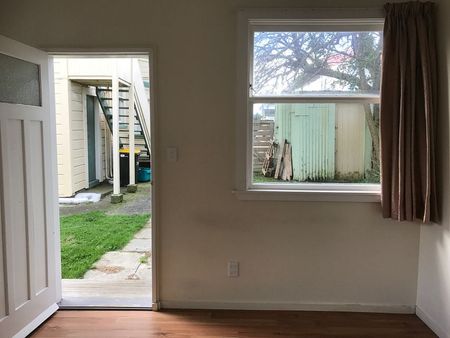 Large 1 bedroom house in Mt Vic - Photo 2