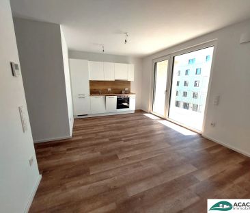 Erster eigener Wohn(t)raum gesucht? - freundliche 2-Zimmerwohnung m... - Foto 1