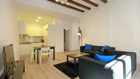 Carrer del Pas de lEnsenyança, Barcelona, Catalonia 08002 - Photo 5