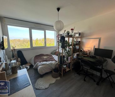 Location Appartement 1 pièce 19m² CHAMBRAY LES TOURS 37170 - Photo 2