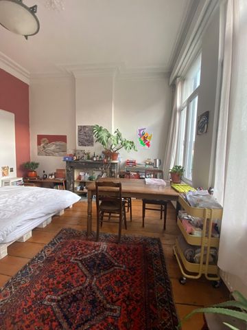 UPDATE: nog 1 Kamer vrij in Herenhuis voor GIRLS ONLY - Foto 4