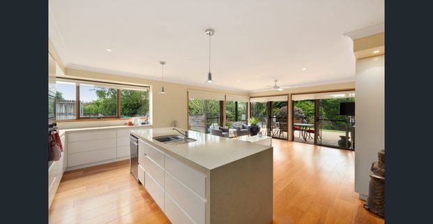 Spacious Family Oasis with Pool – Moments to Mona Vale Village - 6 month lease - Photo 1