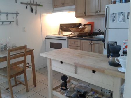 For Lease - 151 Dovercourt Road Unit# Upper, Toronto, Ontario - Photo 4