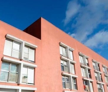 Résidence étudiante Le Rodrigue - Photo 4