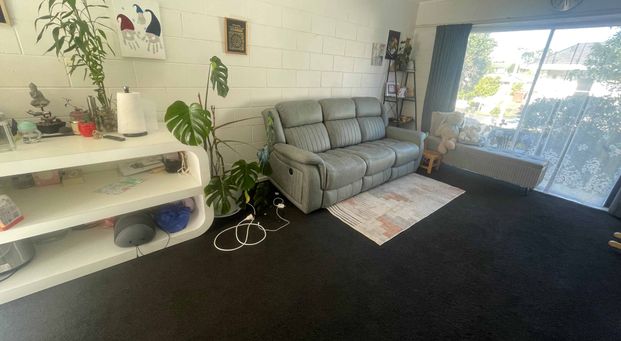 Easy-care & Great location! 2 Bed 1 Bath | Mt Wellington - Photo 1