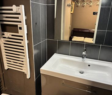 Location Appartement 1 pièce 18m² - Photo 6