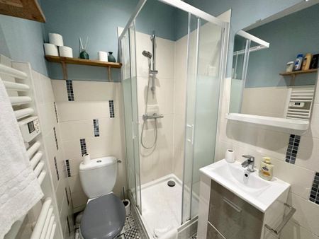 Location Appartement 1 pièce Meublé 16m² TOURS 37000 - Photo 4