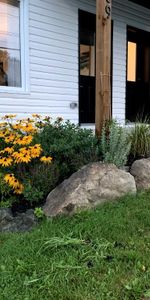 3½ à louer Chesterville - Photo 3