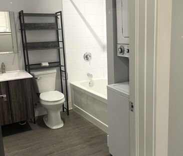 2326 Agricola – TRENDY NORTH END 1 BR 1 BATH APARTMENT JULY 1ST - Photo 4