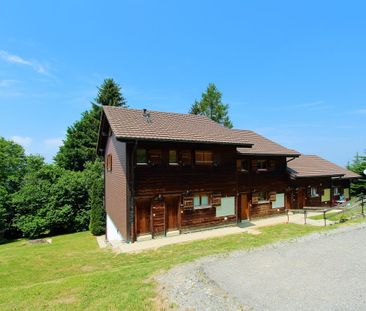 2.5 Zimmer, 56 m², EG - Photo 6