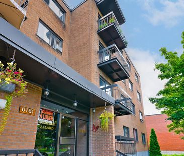 1 Bedroom 1 Bathroom - 6161 Boulevard LaSalle, Montréal - Photo 1