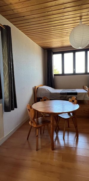 Location Appartement 1 pièce 27m² CHAMBERY 73000 - Photo 1