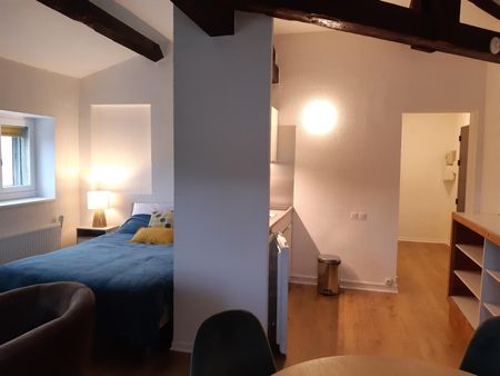 Location Appartement 1 pièce 33m² BORDEAUX 33000 - Photo 4