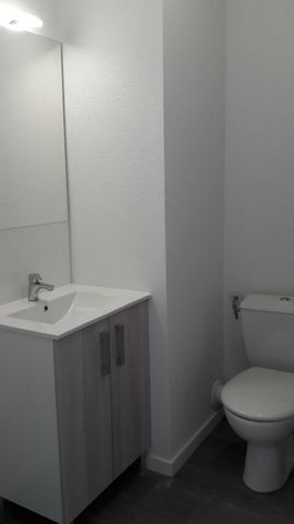 Location Appartement 1 pièce 19m² AUZEVILLE TOLOSANE 31320 - Photo 2